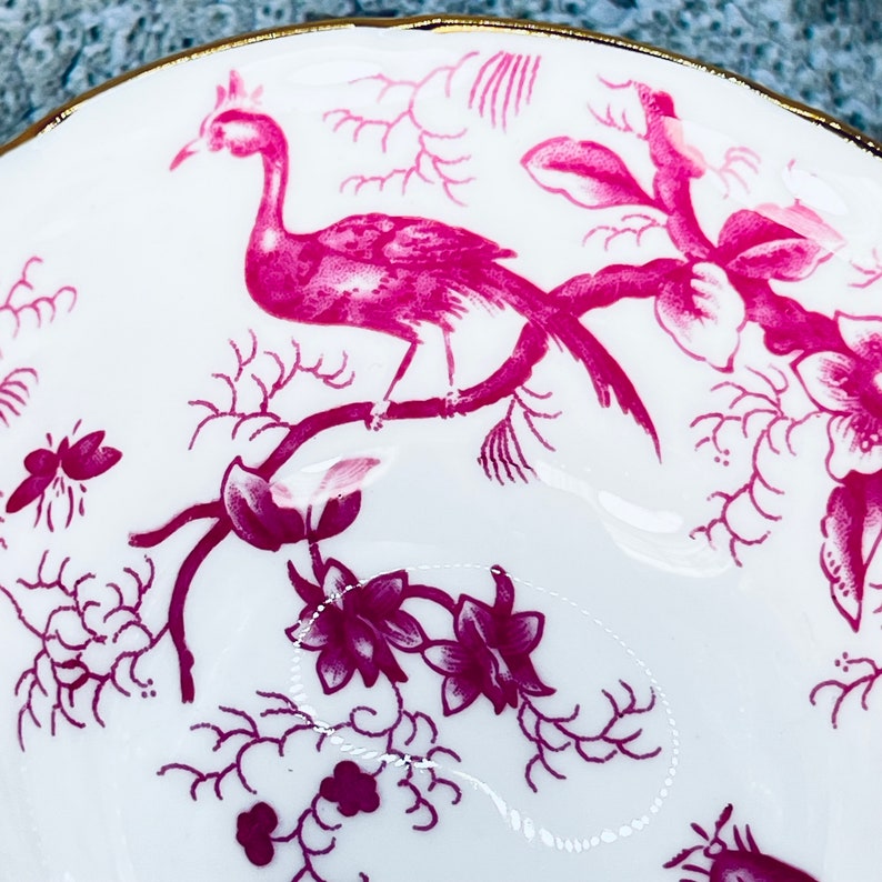 Coalport pink Cairo Bird tea cup and saucer set, Coalport birds and bugs tea set, Garden tea party, Vintage bone china image 6