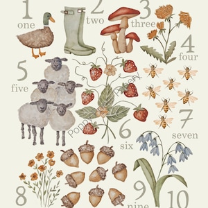 Country Counting Chart