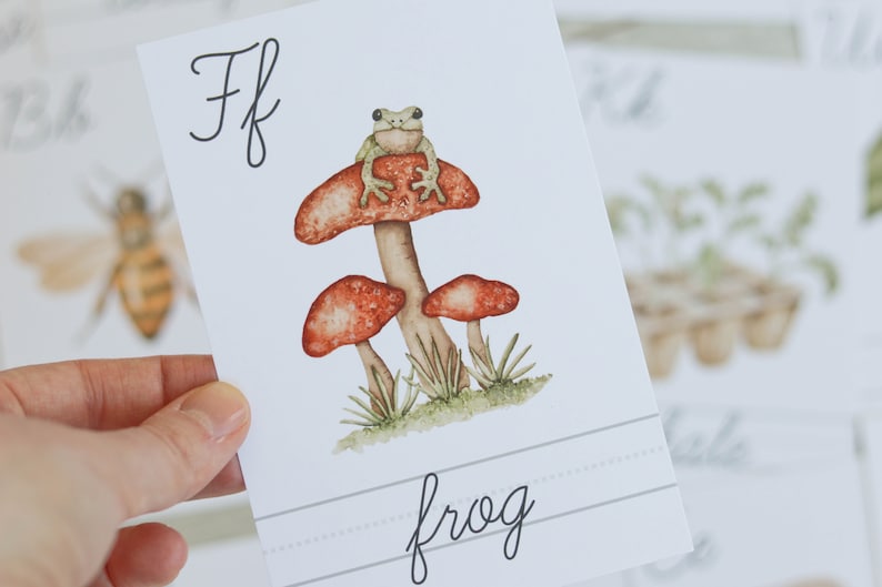 Pu&ograve; includere: Una flashcard con la lettera "F" scritta in corsivo e la parola "rana" scritta sotto. Un'illustrazione di una rana verde seduta su un fungo rosso con due funghi rossi pi&ugrave; piccoli sullo sfondo.