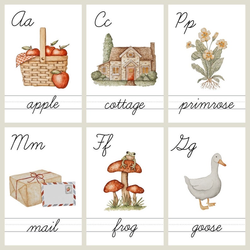 Pu&ograve; includere: Un set di sei flashcard dell'alfabeto con illustrazioni e parole. Le lettere sono Aa, Cc, Pp, Mm, Ff e Zg. Le illustrazioni sono una mela in un cesto, un cottage, una primula, posta in una busta, una rana su un fungo e un'oca.