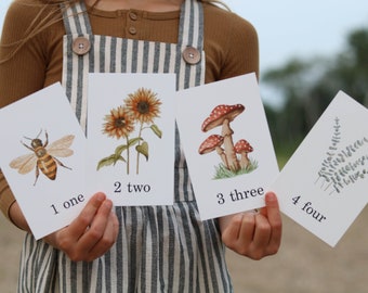 Counting Cards (hand painted by me) mushroom , eucalyptus, bee, homeschool, decor, kids room strawberries goose sunflowers olive leaf