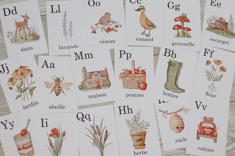 May include: A set of 18 illustrated flashcards featuring the French alphabet with corresponding images and words. The cards are white with black lettering and colourful watercolour illustrations. The letters are in uppercase and lowercase.