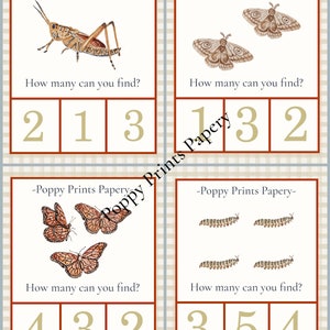 Insekt Clip and Count Math Cards (PRINTABLE) (handgemalt von mir) Zählen, langsames Lernen, Mohndruck auf Papier, Frau im Besitz