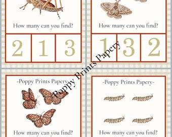 Insect Clip and Count Math Cards (PRINTABLE)