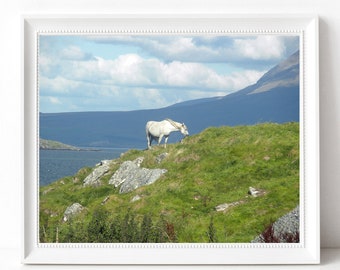 Ireland White Horse Photography Coastal Travel Photograph Connemara Pony Rustic Irish Landscape Equestrian Decor Coast Wall Art Photo