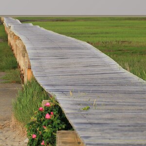 K&ouml;nnte beinhalten: Ein Holzsteg schl&auml;ngelt sich durch ein Grasfeld und f&uuml;hrt zu einem entfernten Punkt. Am Rande des Weges bl&uuml;hen rosa Blumen.