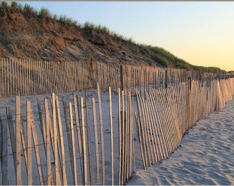 Beach Fence Photography Cape Cod Photograph Sandy Neck Beach Wall Art Rustic Coastal Landscape Neutral Decor Seascape Print Sand Dunes