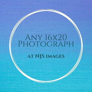 Puede incluir: Un círculo blanco sobre un fondo degradado azul y morado. El texto "ANY 16x20 PHOTOGRAPH AT NJS IMAGES" está escrito en negro dentro del círculo.