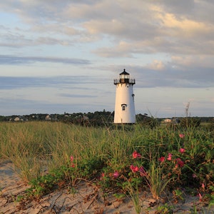 Puede incluir: Un faro blanco con techo negro se alza alto contra un cielo nublado. Hierba verde y flores rosas crecen en primer plano.