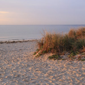 Puede incluir: Una playa de arena con hierbas altas creciendo en primer plano. El océano está en el fondo con un cielo azul claro.