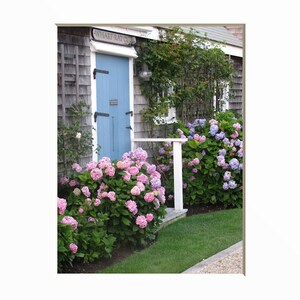 Cape Cottage Photography Hydrangeas Coastal Summer Beach Wall Art Rustic Landscape Photograph Ocean Nautical Decor Cape Cod Art Hydrangea