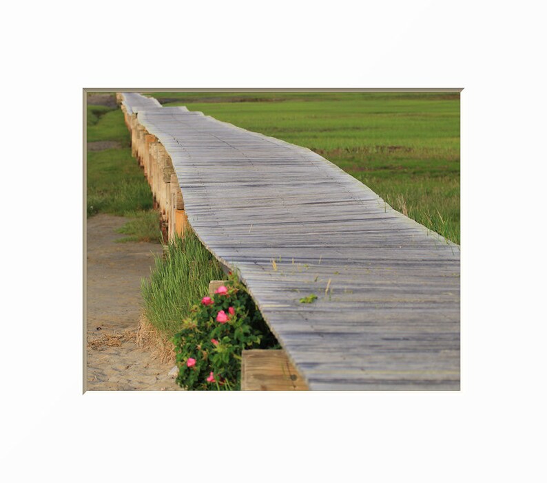 K&ouml;nnte beinhalten: Ein Holzsteg erstreckt sich in ein grasbewachsenes Feld, mit rosa Bl&uuml;ten, die am Rande wachsen.