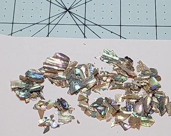 Abalone and Aurora shell pieces