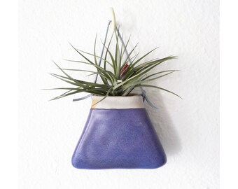 May include: A wall-mounted ceramic planter with a trapezoidal shape, featuring a glossy purple glaze on the lower section and a matte white rim. A green air plant with thin, pointed leaves sits inside, suspended by a thin grey leather cord.