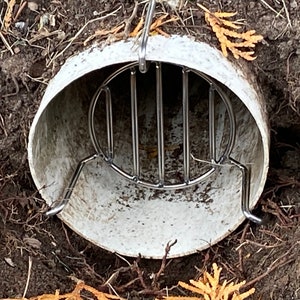 May include: A close-up of a white plastic pipe with a metal grate inside. The pipe is partially buried in the ground.