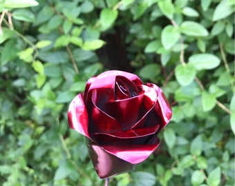 Red Eternity Rose (single)