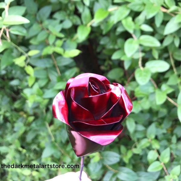 Red Eternity Rose (single)