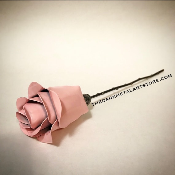 Natural Pink Eternity Rose (1)