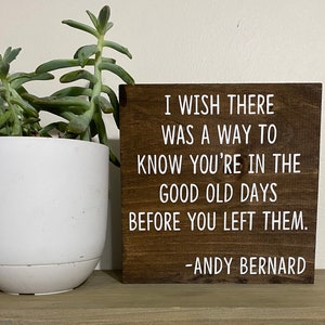 I wish there was a way to know you’re in the good old days before you left them - Andy Bernard - finale - Office sign quotes