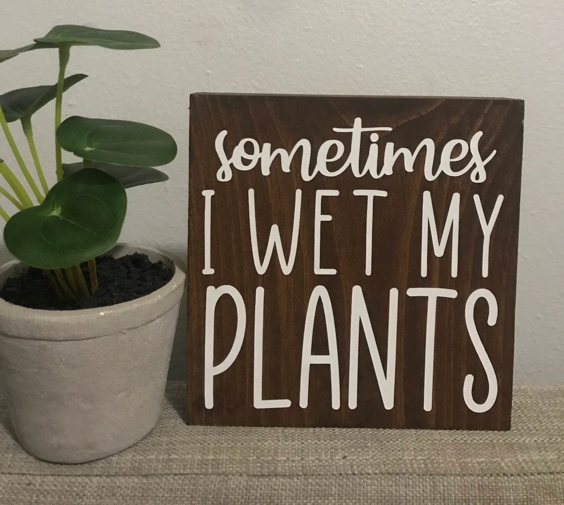 KIOZIY Deko-Schild 'Sometimes I Wet My Plants' – 10,2 X 40,6 Cm, Metallschild Mit Vintage-Look Für Garten, Haus & Als Geschenk