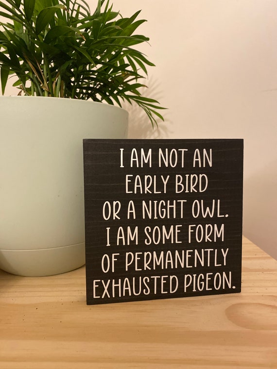 Intensive English Center - Idiom of the day: night owl You call someone a  night owl if they are always (or usually) up late. This is the opposite of  an early bird