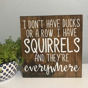 I don’t have ducks or a row I have squirrels and they’re everywhere sign - office sign - funny desk decor - humorous quote - parents signs