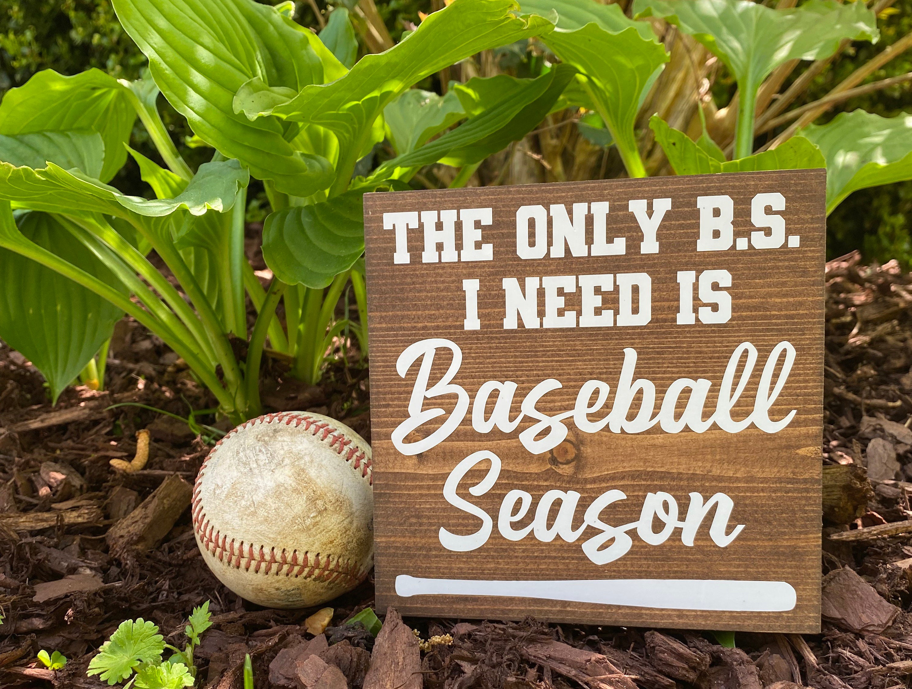 Catchy Baseball Slogans For Signs
