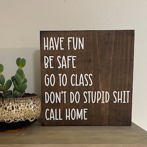 Dorm rules decor -have fun be safe go to class -don’t do stupid shit call home sign -funny graduation gift -make good choices -college quote