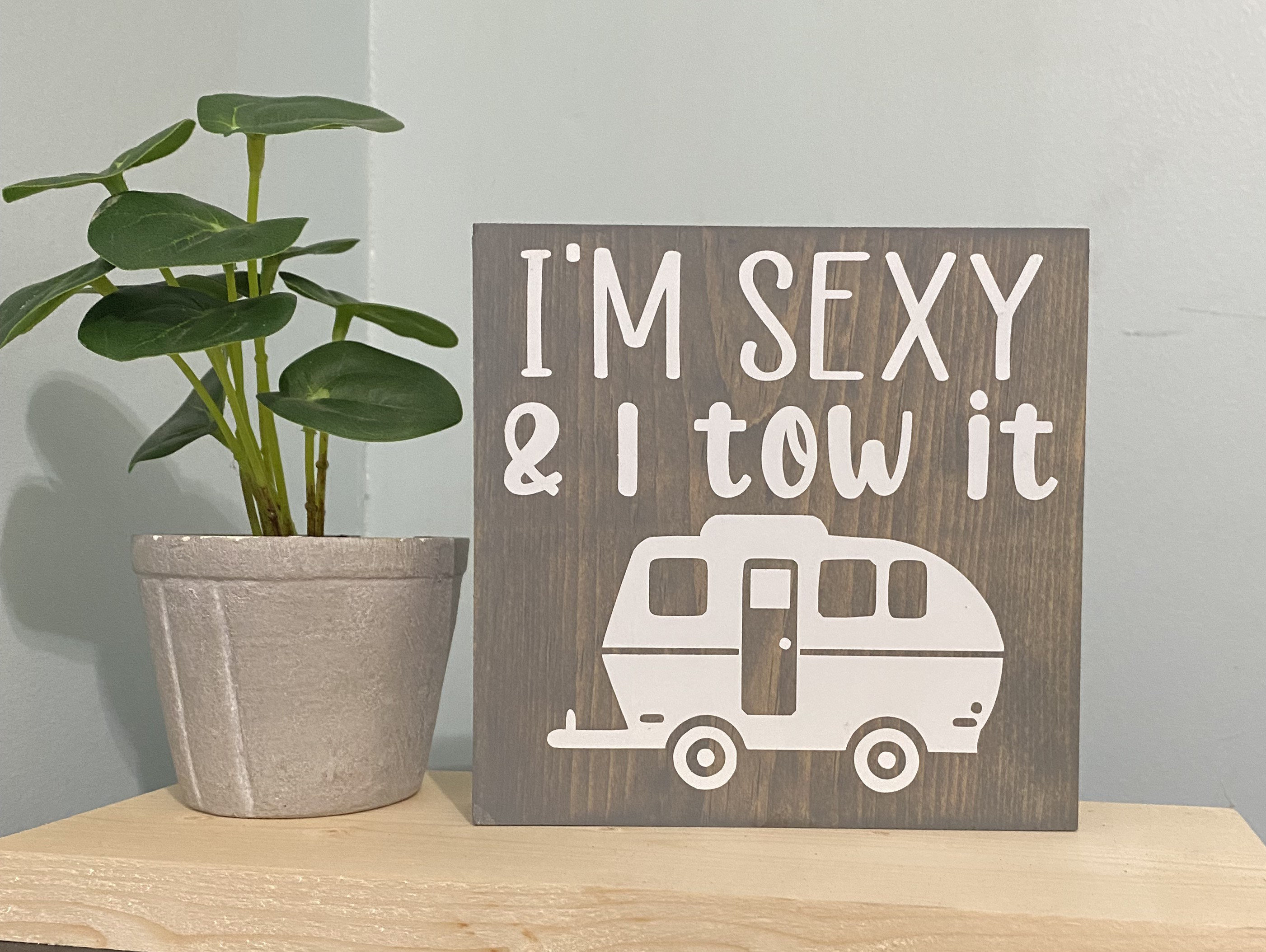 Im Sexy and I Tow It Camping Decor Funny Camp Signs - Etsy Finland