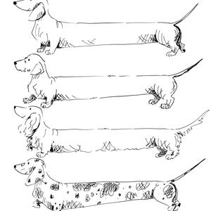 May include: A black and white line drawing of four dachshund dogs in different poses. The dogs are all facing to the right and have long bodies and short legs.