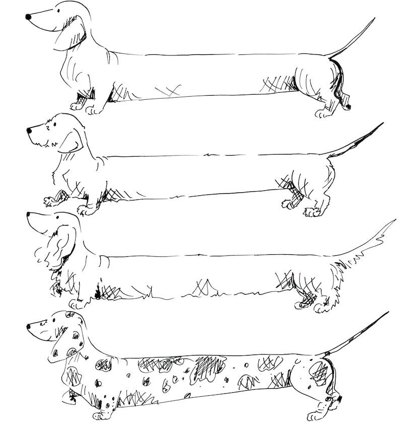 May include: A black and white line drawing of four dachshund dogs in different poses. The dogs are all facing to the right and have long bodies and short legs.