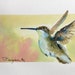 Hummingbird ORIGINAL watercolor painting by Benjaminart9, Birds Wild Life, Warm Sunny Flowers, Garden Flowers, Wall Art, Home Decor, unique