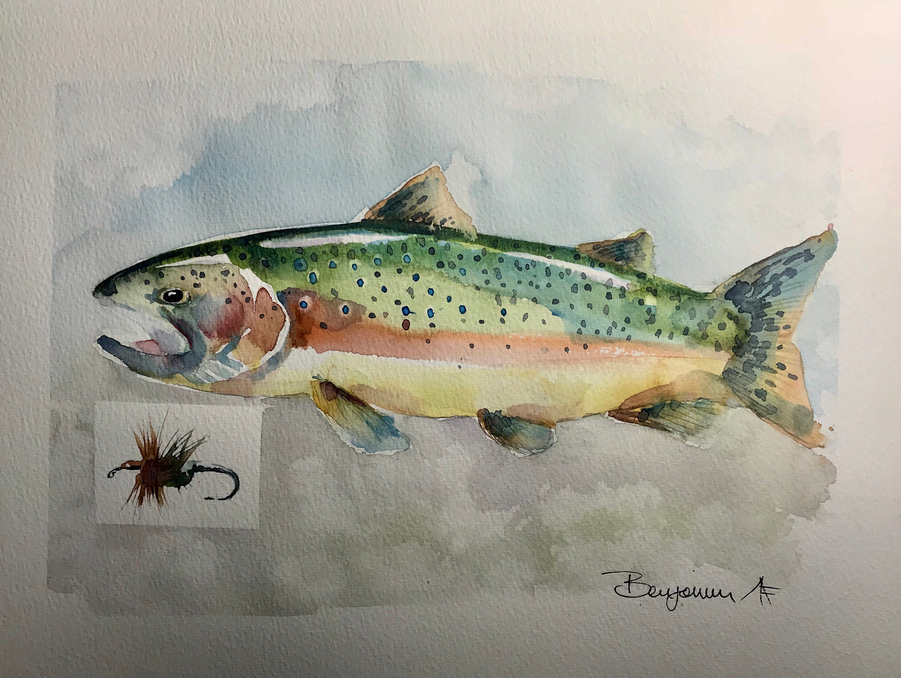 Trout Wall Art Original watercolor painting watercolour Etsy