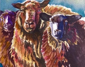 Sheep ORIGINAL watercolor painting by Tracy Pitman, Birds Wild Life, Warm Sunny Flowers, Garden Flowers, Wall Art, Home Decor,