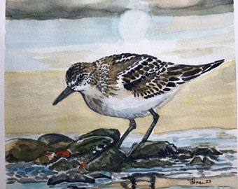 Lighthouse ORIGINAL watercolor painting by Tracy Pitman my bride, Birds Wild Life, Warm Sunny Flowers, Garden Flowers, Wall Art, Home Decor,
