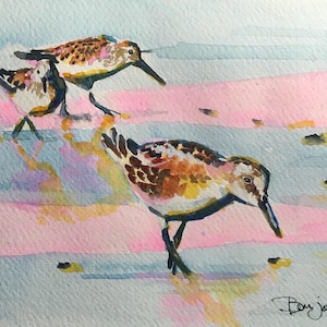 May include: Watercolour painting of three sandpipers in a coastal scene. The birds have brown and white speckled plumage, long beaks, and slender legs. The background features pink and blue watercolour washes, suggesting a sunrise or sunset.