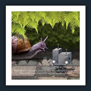 May include: A purple snail with a brown shell crawls on a brick path. A small, gray, robot with two antennas and large, round eyes walks behind the snail. Green ferns hang overhead.