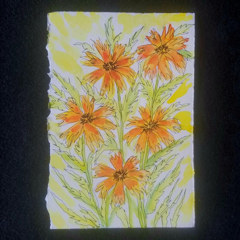ORIGINAL ART #020--052 6 X 4 mixed media painting botanical art flowers Susan Rodebush Arts