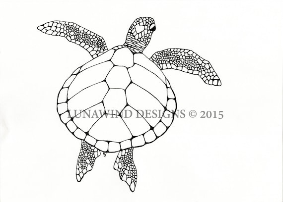 Download Free Sea Turtle Animal Artwork Coloring Nursery Design Children Art Etsy SVG Cut Files