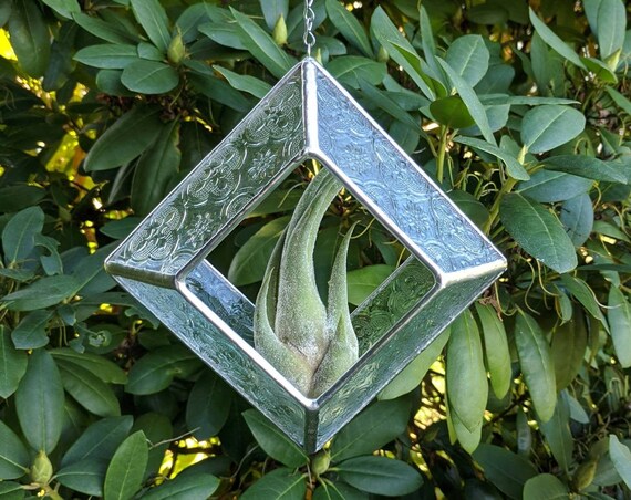Victorian Suncatcher *Includes real Air Plant*