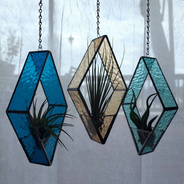 Stained Glass Air Plant Holder: Includes real Air Plant