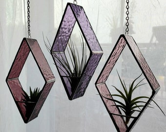 Stained Glass Air Plant Holder: Includes real Air Plant