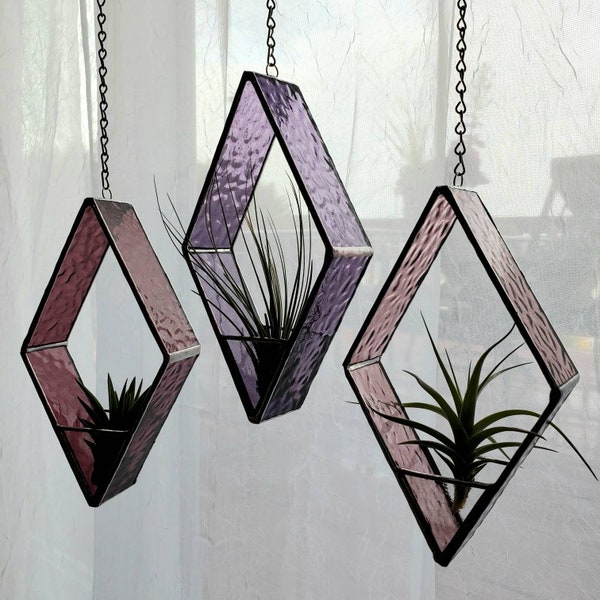 Stained Glass Air Plant Holder: Includes real Air Plant