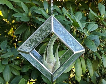 Stained Glass Air Plant Suncatcher: Morisco Texture, Includes Plant