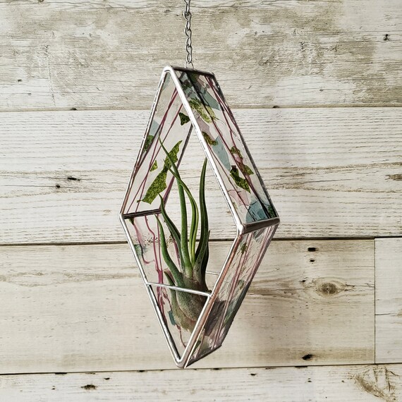 Stained Glass *INCLUDES real air plant* Diamond Hanger