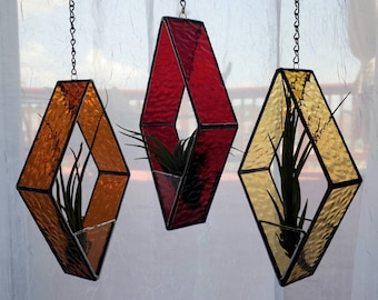 Stained Glass Air Plant Holder: Includes real Air Plant