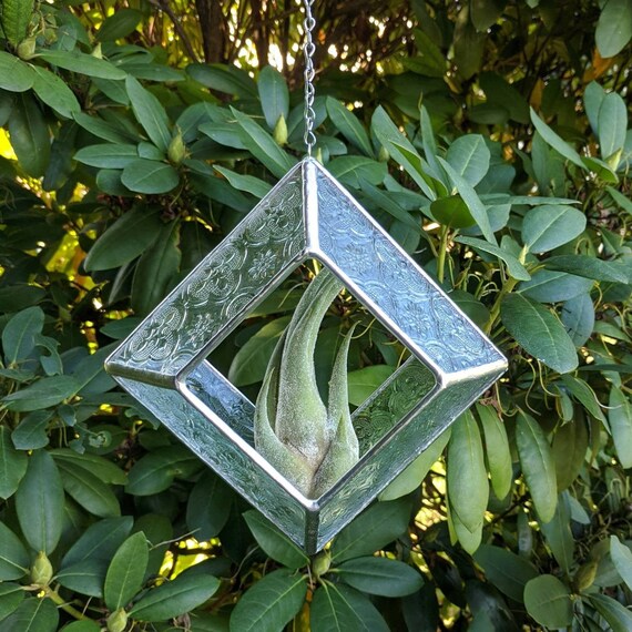 Victorian Suncatcher *Includes real Air Plant*