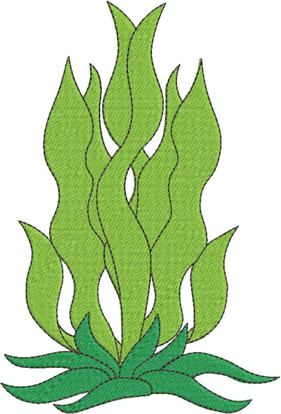 Seaweed Fill Sea Ocean Nautical Machine Embroidery Design 304