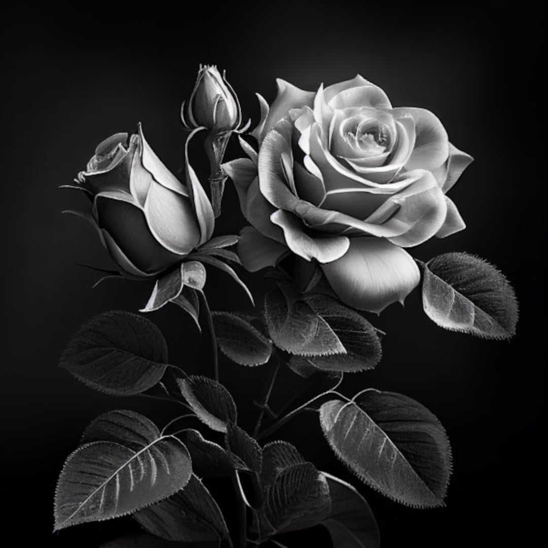 roshes black and white