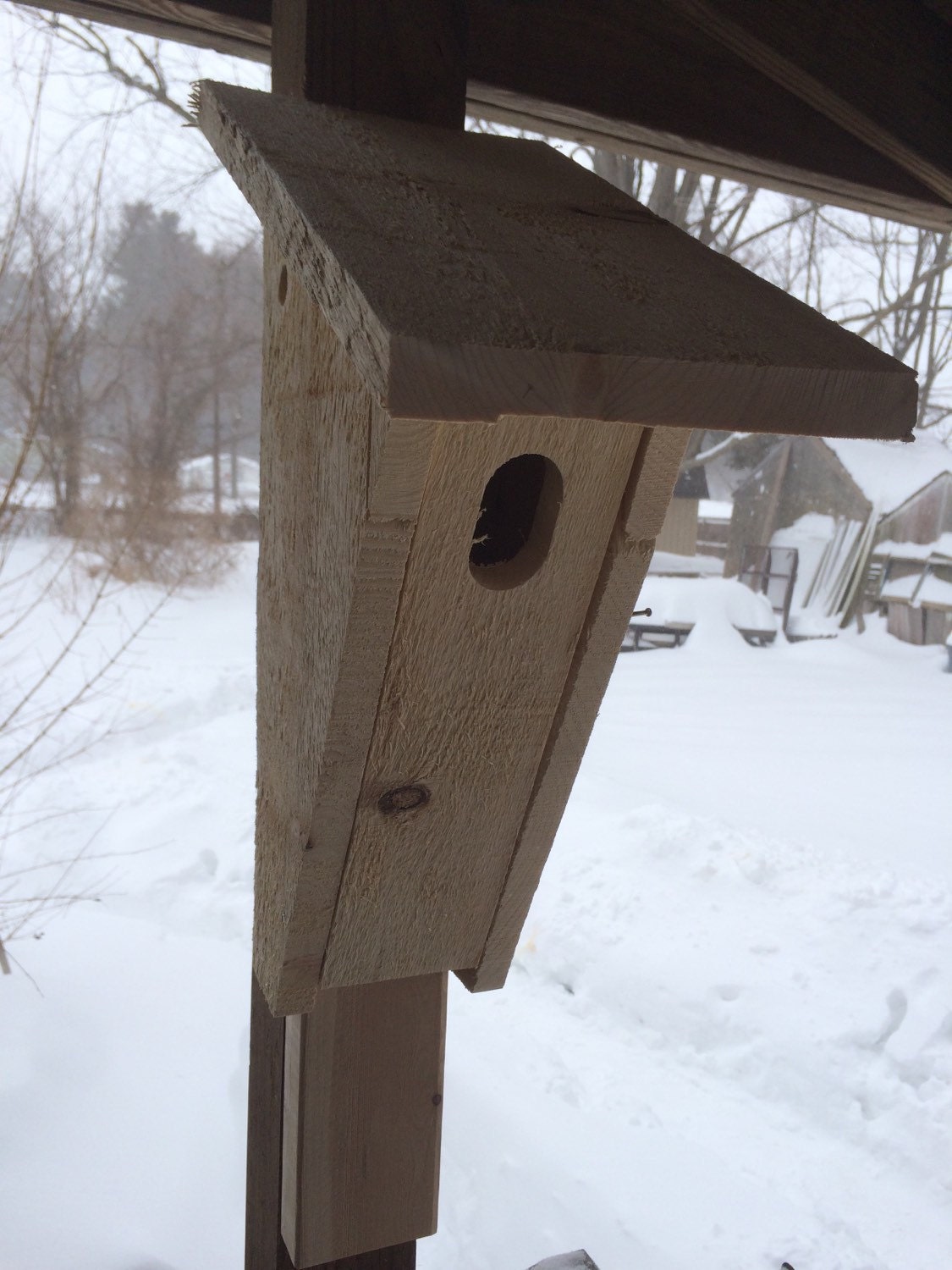 Peterson style bluebird bird house made from rough sawn pine. | Etsy